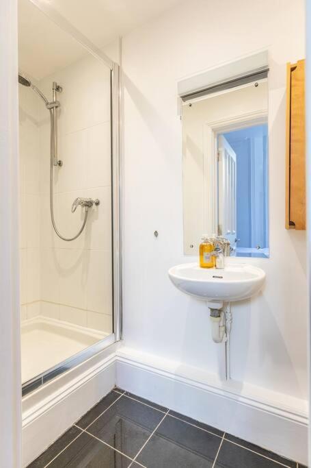 Appartamento Victorian Flat Close To Station With Large Garden Hove Esterno foto